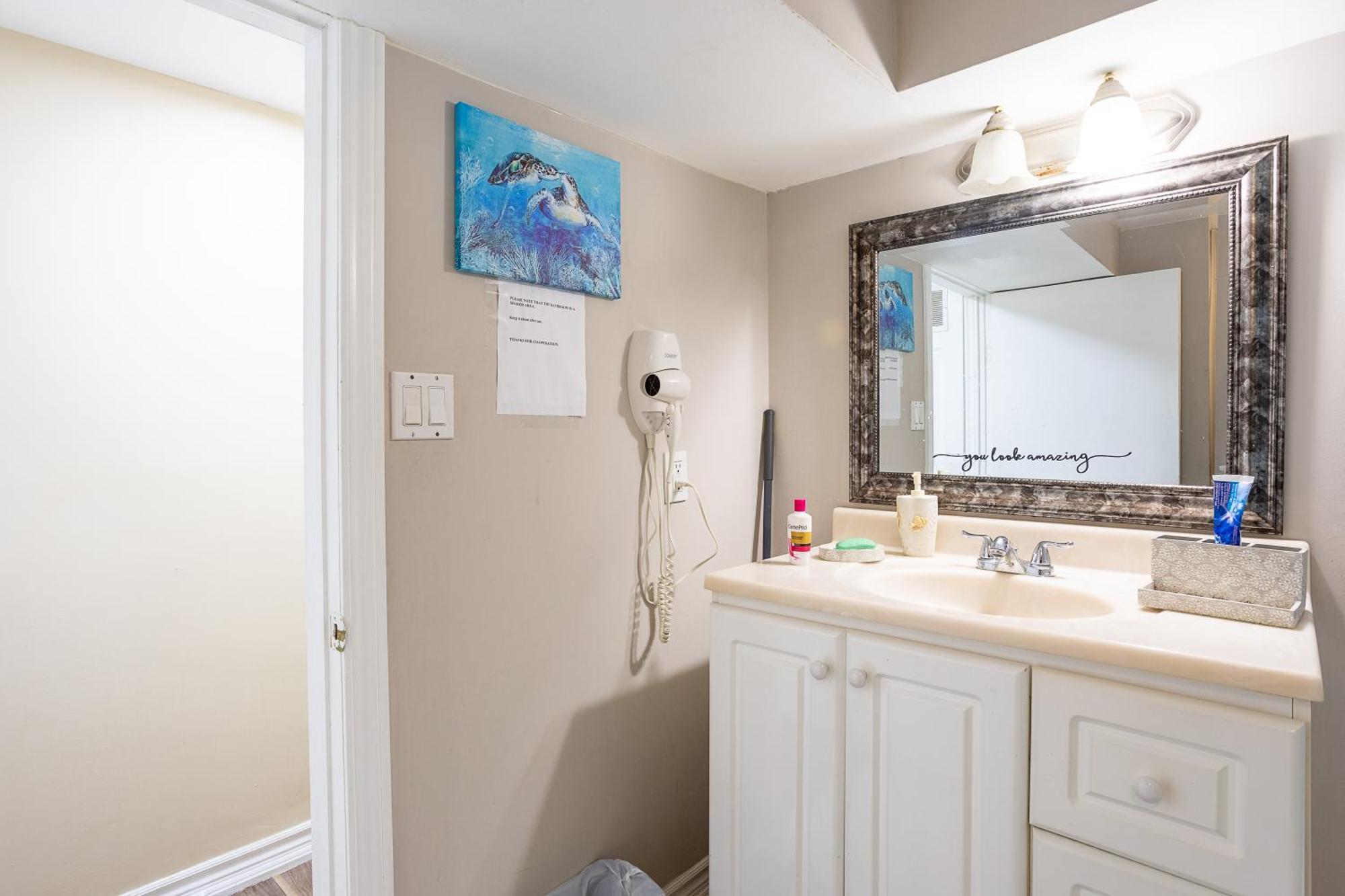 A With Tv & Netflix In Walkout Basement